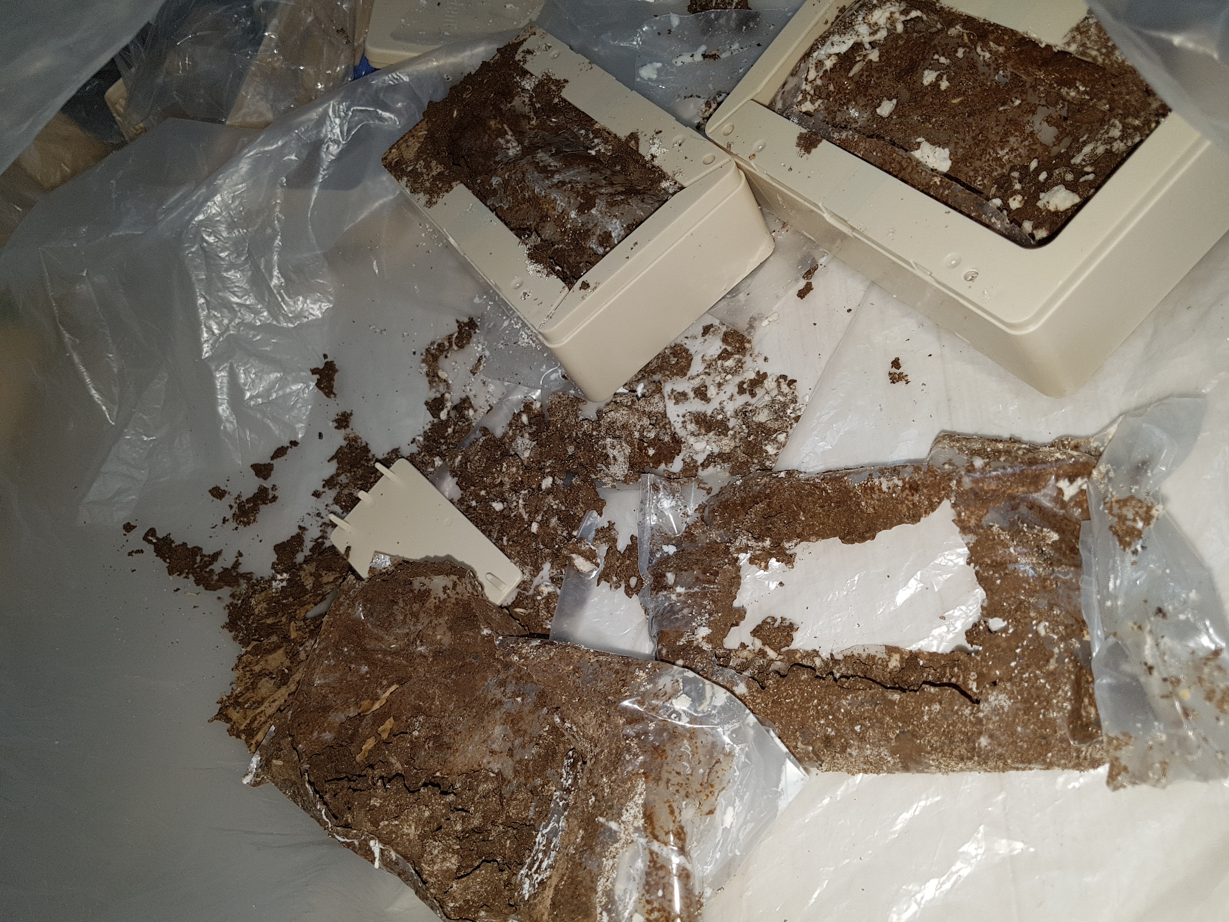 Stations intérieure Sentri-Tech après 4 semaines