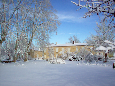 Installation de pièges anti-termite à Yvrac